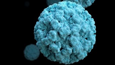 New Langya Virus Discovered by Scientists in China